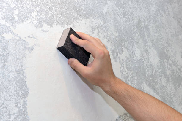 Best Mold-Related Health Consultation  in St Elmo, IL