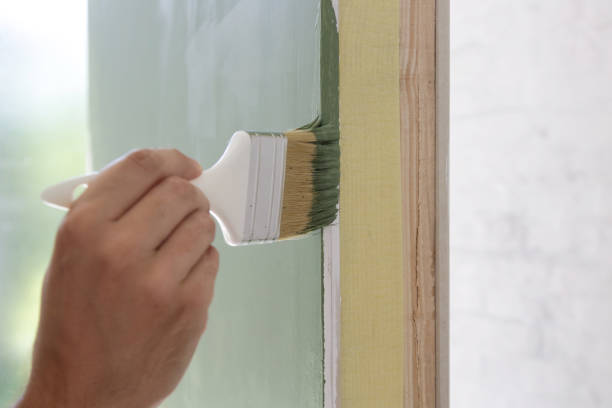 Best Black Mold Removal  in St Elmo, IL