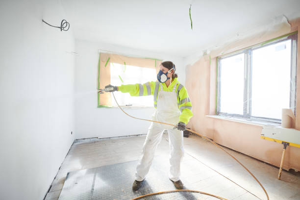 Best Water Damage & Mold Remediation  in St Elmo, IL