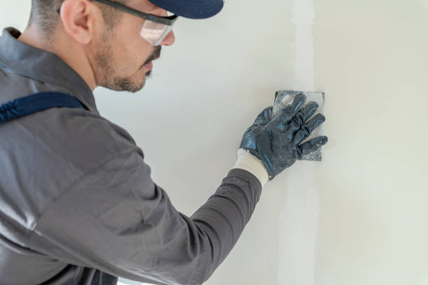 Environmental Consulting for Mold Prevention in St Elmo, IL