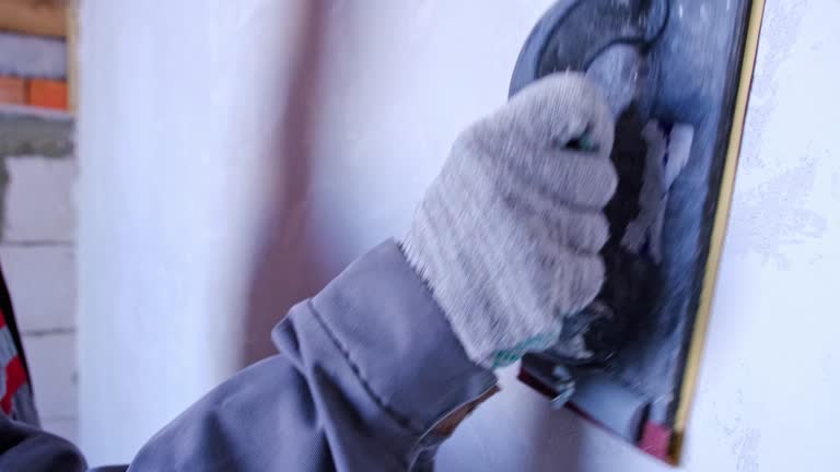Reliable St Elmo, IL Mold Removal Solutions