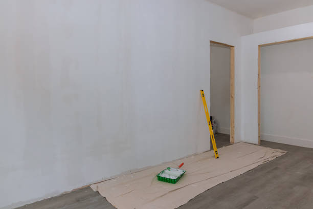 Best Mold Documentation for Insurance Claims  in St Elmo, IL