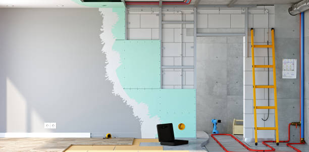 Best Comprehensive Air Testing for Mold Contaminants  in St Elmo, IL