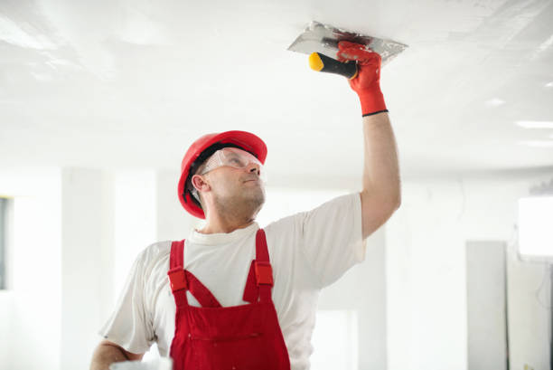  St Elmo, IL Mold Removal Pros