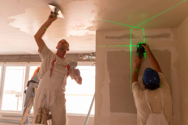 Best Biohazard Mold Removal  in St Elmo, IL