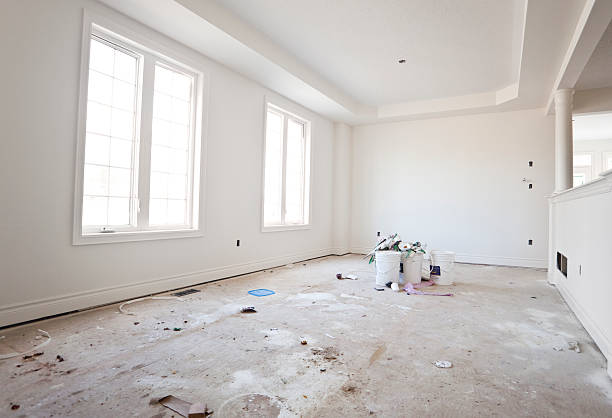 Best Environmental Consulting for Mold Prevention  in St Elmo, IL