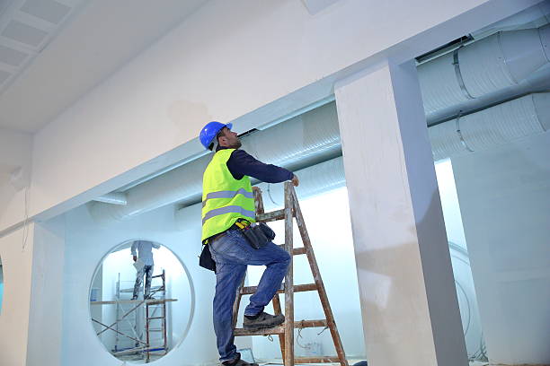 Best Forensic Mold Investigation  in St Elmo, IL