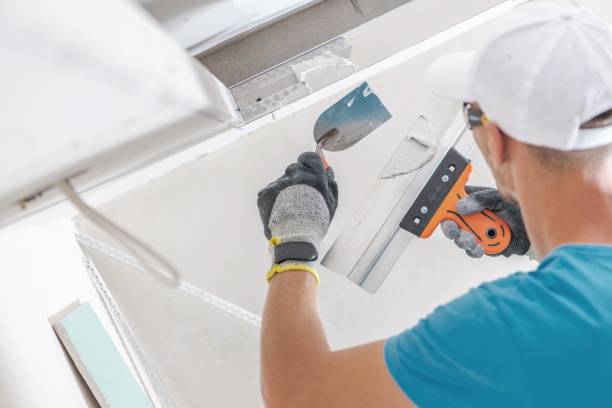 Best Airborne Mold Testing  in St Elmo, IL